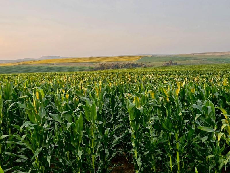 0 Bedroom Property for Sale in Bethlehem Rural Free State